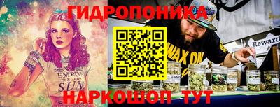 прущие грибы Боровичи