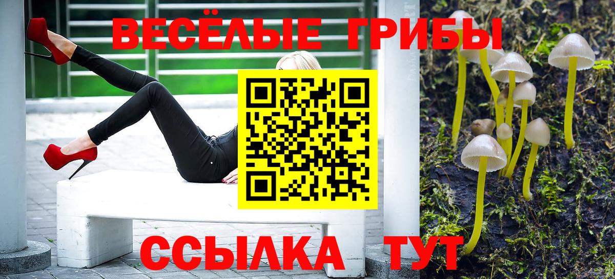 Борисоглебск  Галлюциногенные грибы прущие грибы  Галлюциногенные грибы мицелий  Вход с VPN 