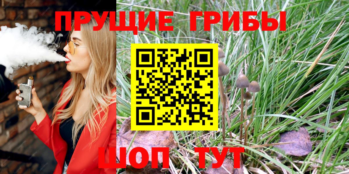 Псилоцибиновые грибы GOLDEN TEACHER Борисоглебск