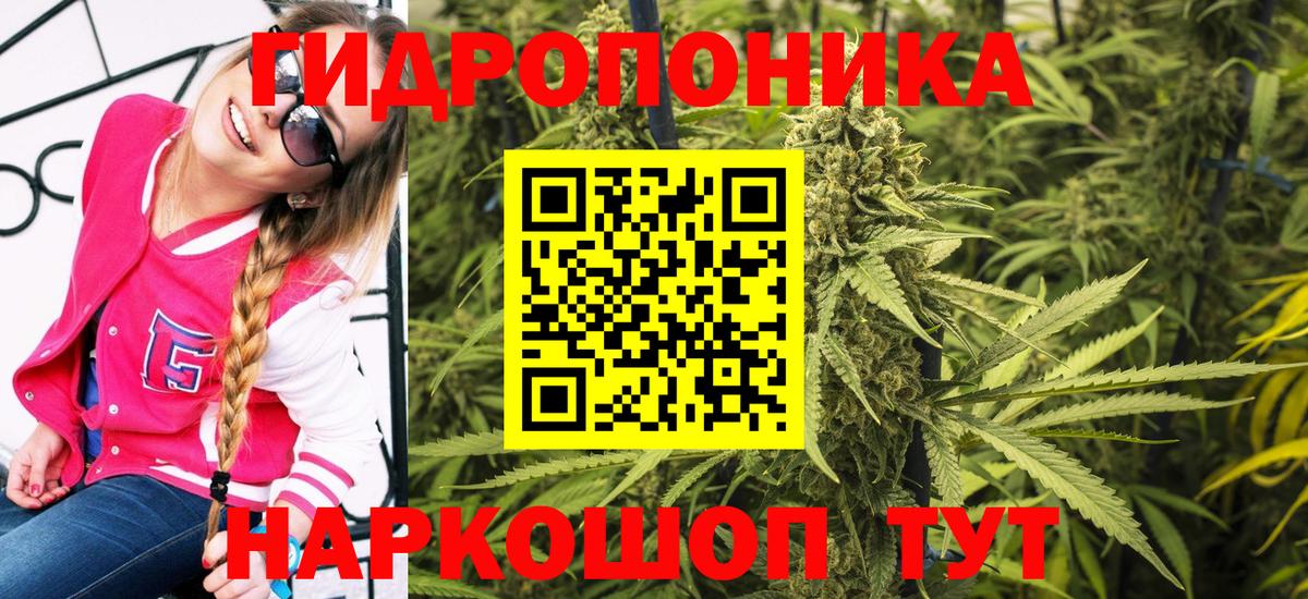 Конопля Amnesia  Вход с VPN  Борисоглебск  Каннабис LSD WEED  Шишки марихуана Ganja 
